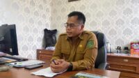 WhatsApp Image 2024-11-13 at 21.53.22