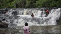 IMG-20241204-WA0008